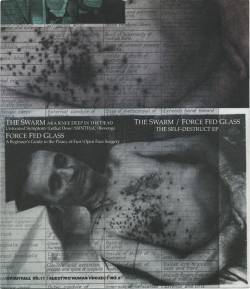 Forcefedglass : The Self Destruct